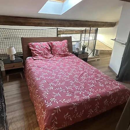 Apartment Duplex Climatise Avec Terrasse Et Parking Privatif