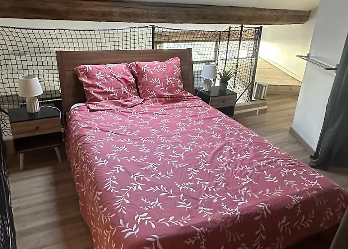 Apartment Duplex Climatise Avec Terrasse Et Parking Privatif